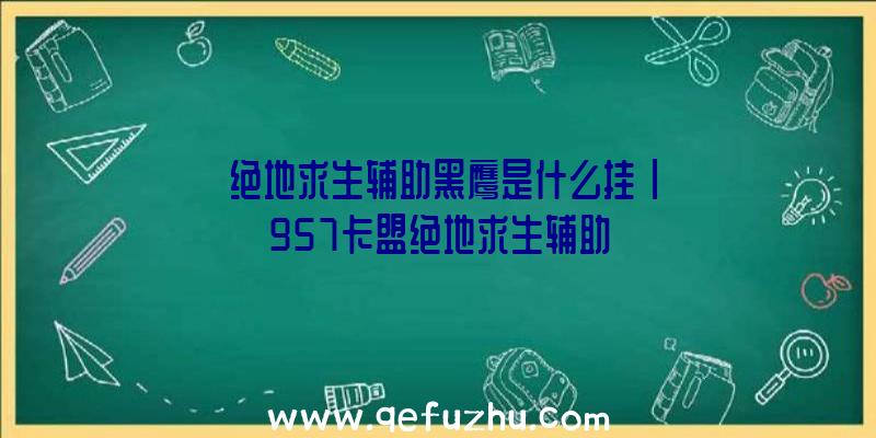 「绝地求生辅助黑鹰是什么挂」|957卡盟绝地求生辅助